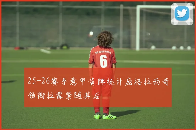 25-26赛季意甲黄牌统计庞格拉西奇领衔拉蒙紧随其后