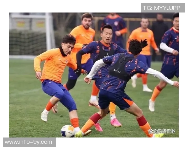 泰山队外援已齐聚备战冬训媒体人称处罚影响有限 泰山队外援已齐聚备战冬训媒体人称处罚影响有限