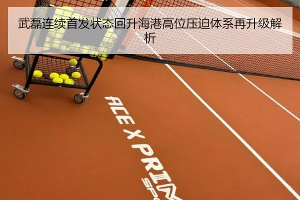 武磊连续首发状态回升海港高位压迫体系再升级解析 | jiuyou.com